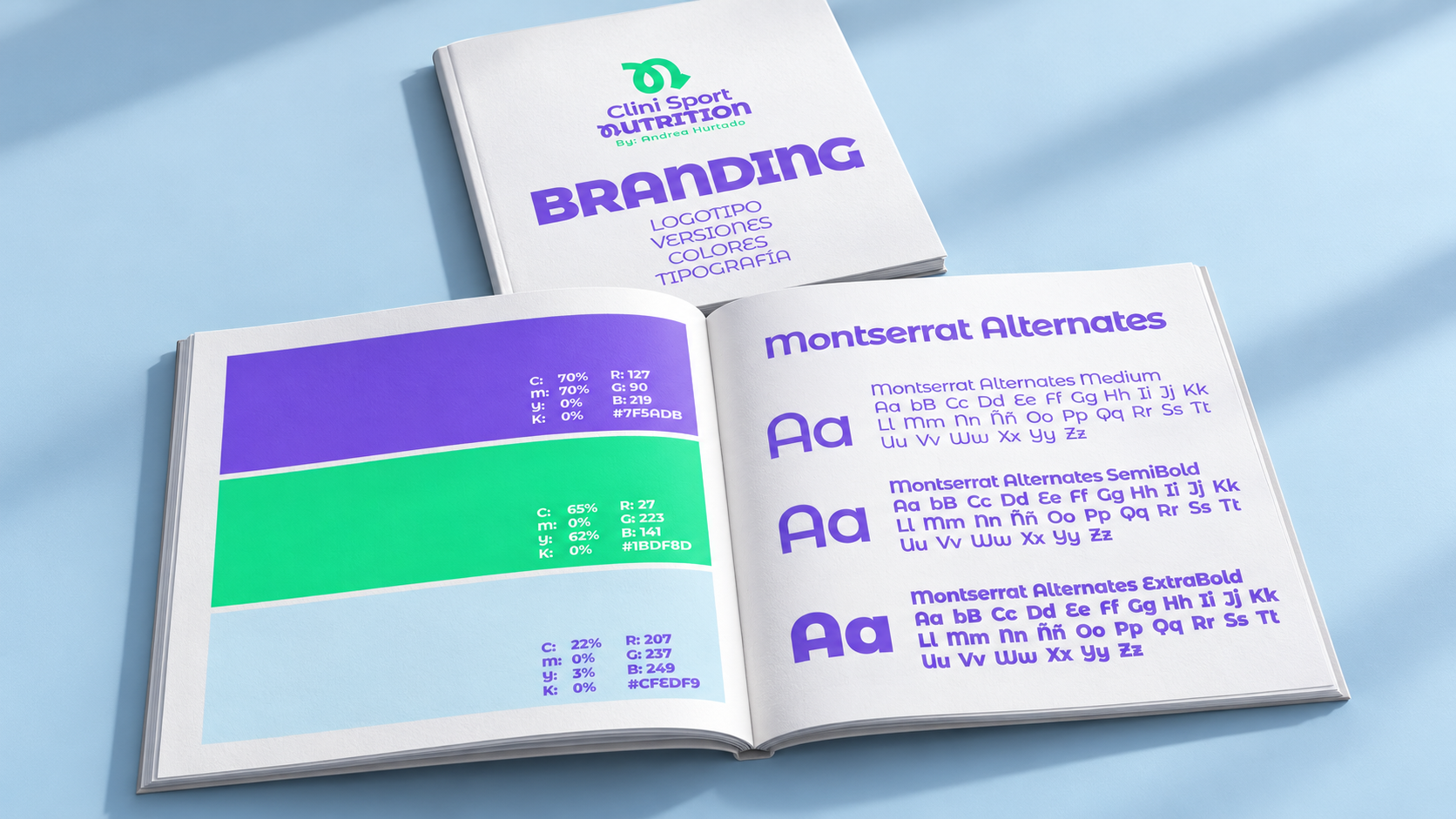 Manual de identidad visual en azul