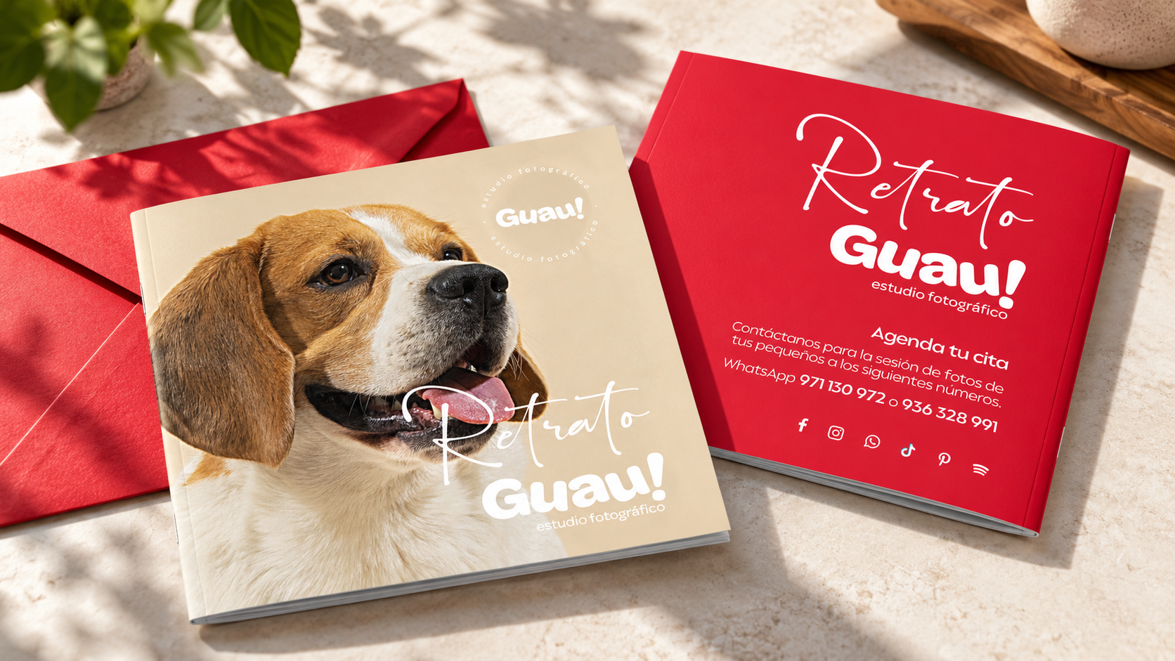 Álbum y material editorial de Guau!