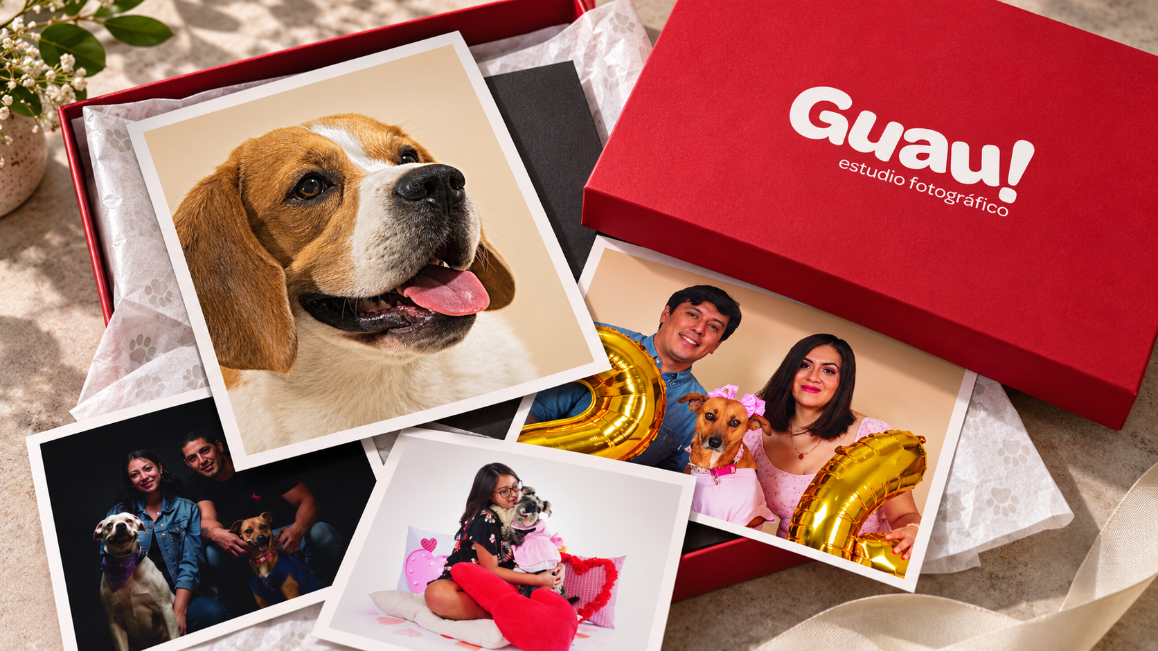 Composición con caja y fotografías de Guau!